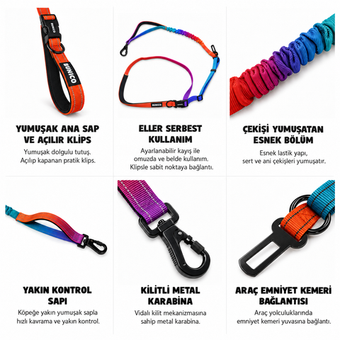 Çok Amaçlı Gezdirme Kayışı - Rainbow