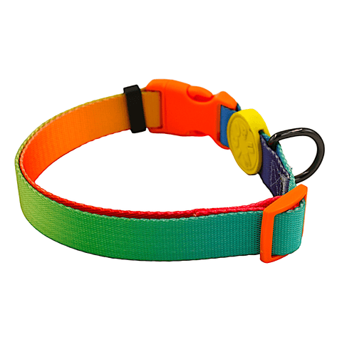 Köpek Boyun Tasması -Gradient