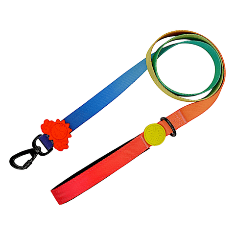 Gradient / Köpek Gezdirme Tasması