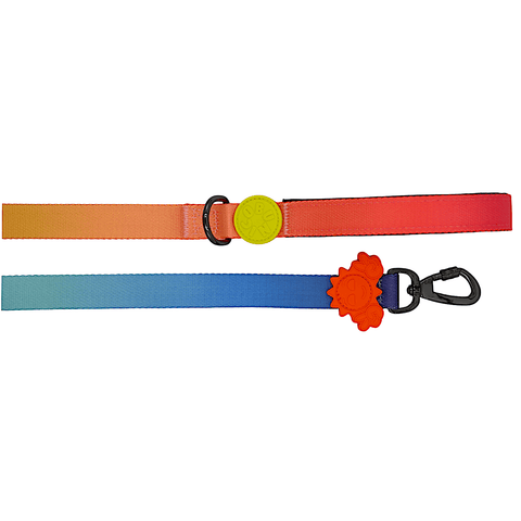 Gradient / Köpek Gezdirme Tasması