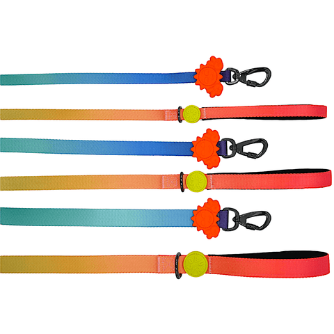 Gradient / Köpek Gezdirme Tasması