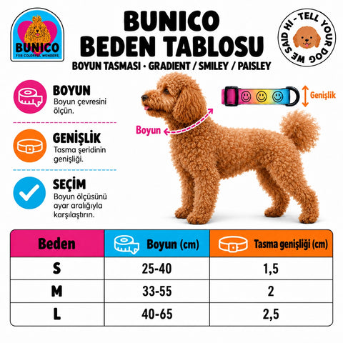 Köpek boyun tasması beden tablosu, S, M, L için boyun çevresi ve tasma genişliği