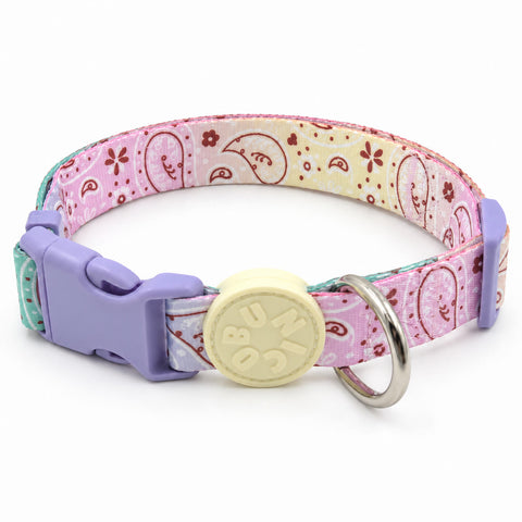 Paisley köpek boyun tasması, pembe zemin üzerinde bordo paisley desen, lila toka, krem logo