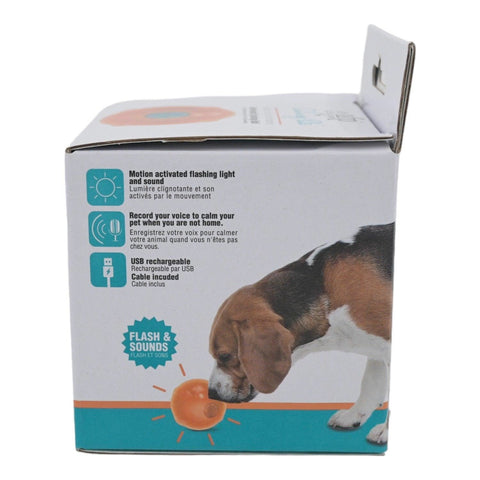 Calming Pals Konuşan Top kutusunun yan yüzü, özellik simgeleri ve turuncu topu koklayan köpek görseli
