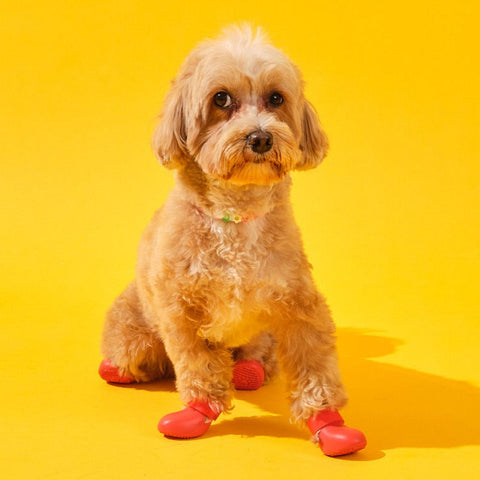Bunico Boots / Kırmızı