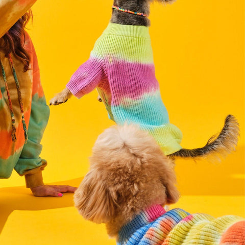 Tie-dye Köpek Kazağı