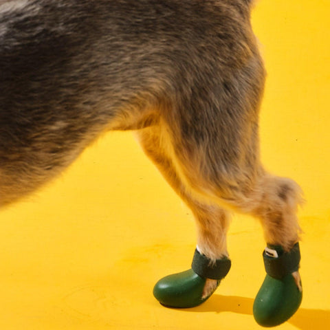 Bunico Boots / Yeşil