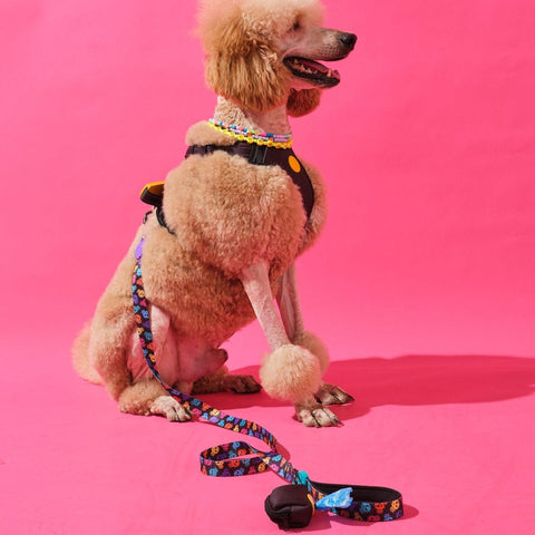Köpek Dışkı Poşeti Çantası - Siyah
