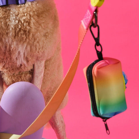Köpek Dışkı Poşeti Çantası - Rainbow