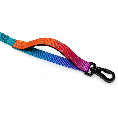 Çok Amaçlı Gezdirme Kayışı - Rainbow