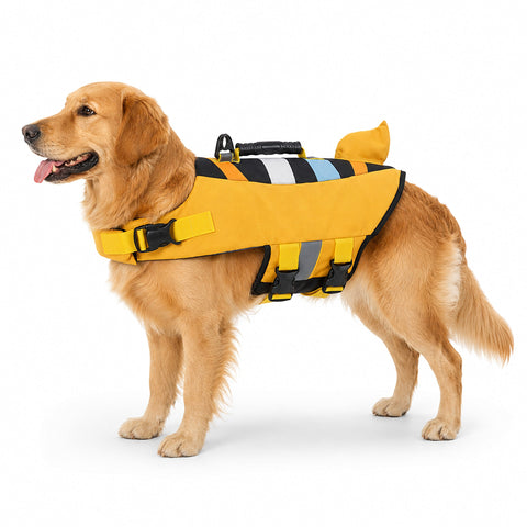 Sarı can yeleğini giymiş köpek – Bunico