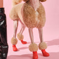 Bunico Boots kırmızı köpek ayakkabısı giymiş kabarık tüylü köpeğin bacakları pembe zeminde