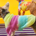 Tie-dye Köpek Kazağı, yeşil pembe mavi kazaklı küçük köpek yandan, arkada renkli kazaklı ikinci köpek