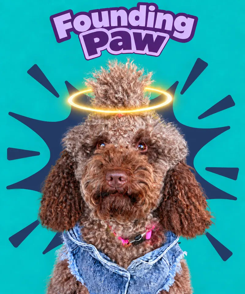 BÜNYAMİN – Founding Paw