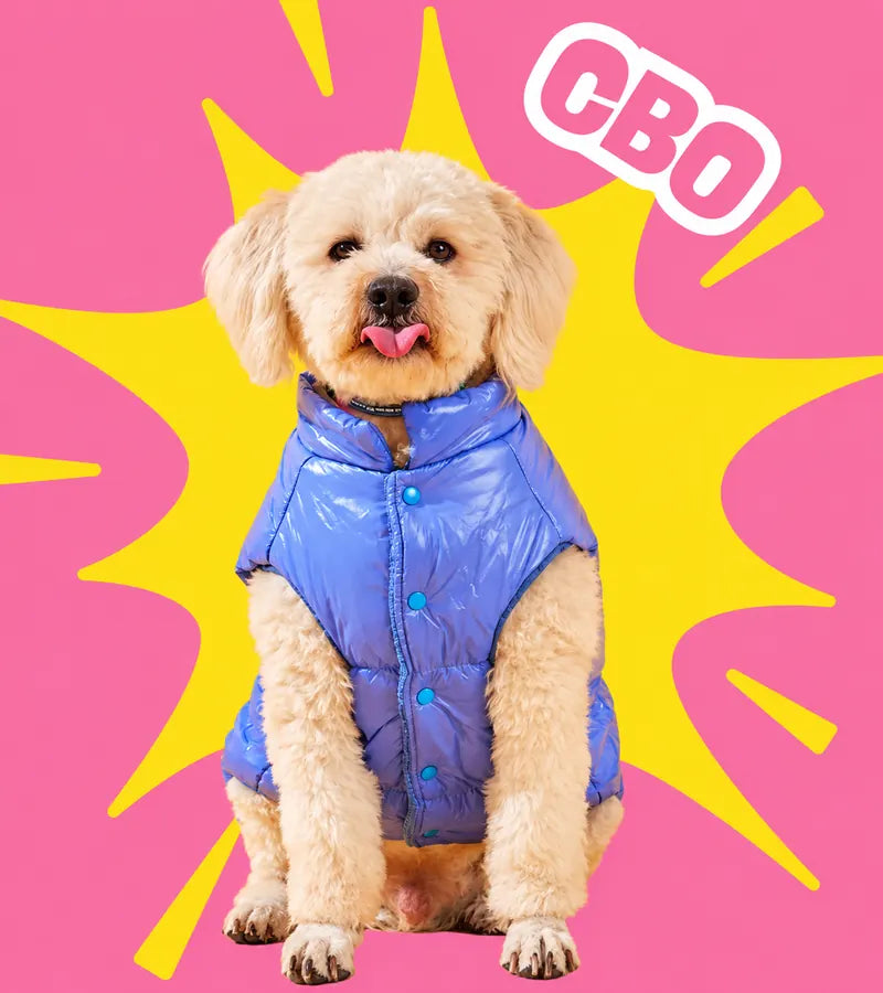 DARWIN – Chief Barketing Officer