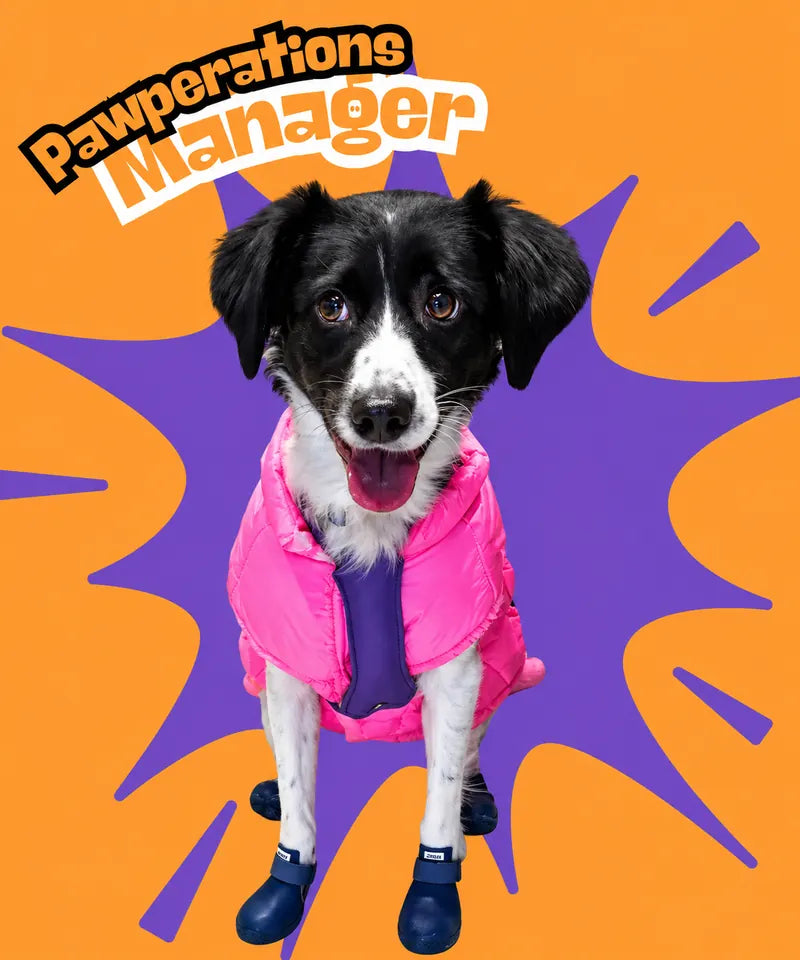 MANTI – Pawperations Manager