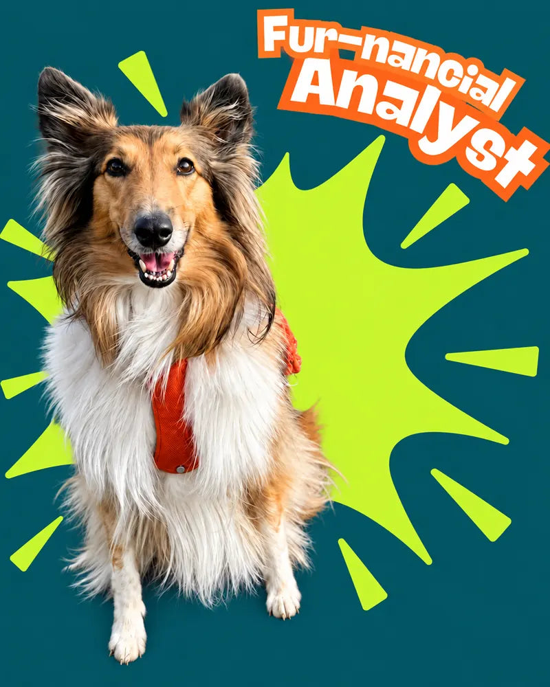 TOFFIE – Fur-nancial Analyst